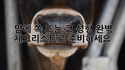 맘에 쏙 드는 코 성형, 완벽 체크리스트로 준비하세요!